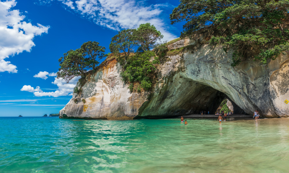 Nz Is Open! Working Holiday Visas Now Open From Mid March  1080 X 5843